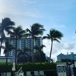 Meet your Posher, Rhonda